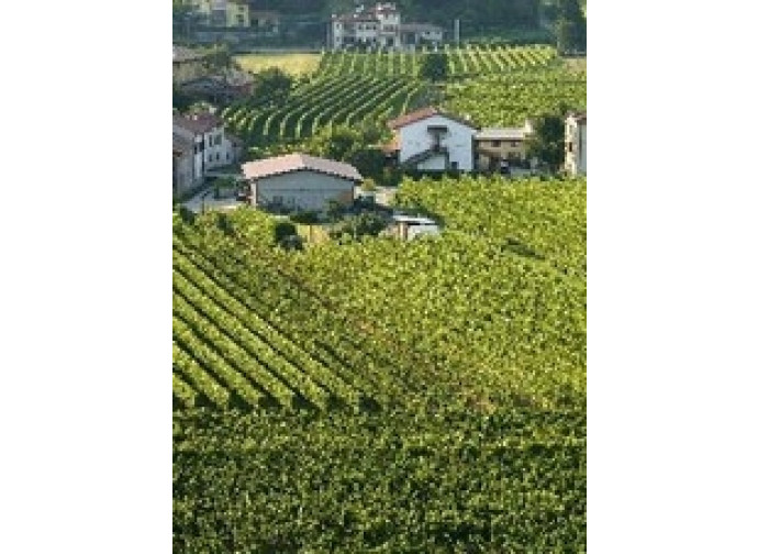azienda agricola